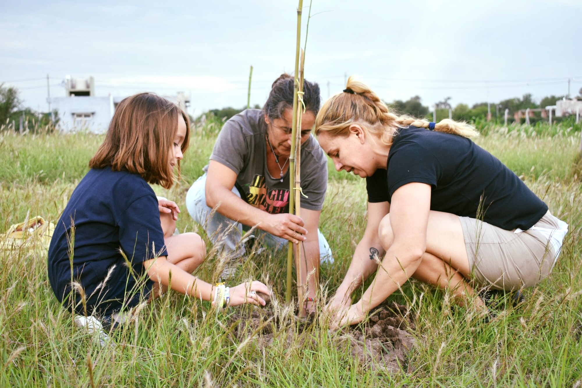 voluntarias plantando un arból