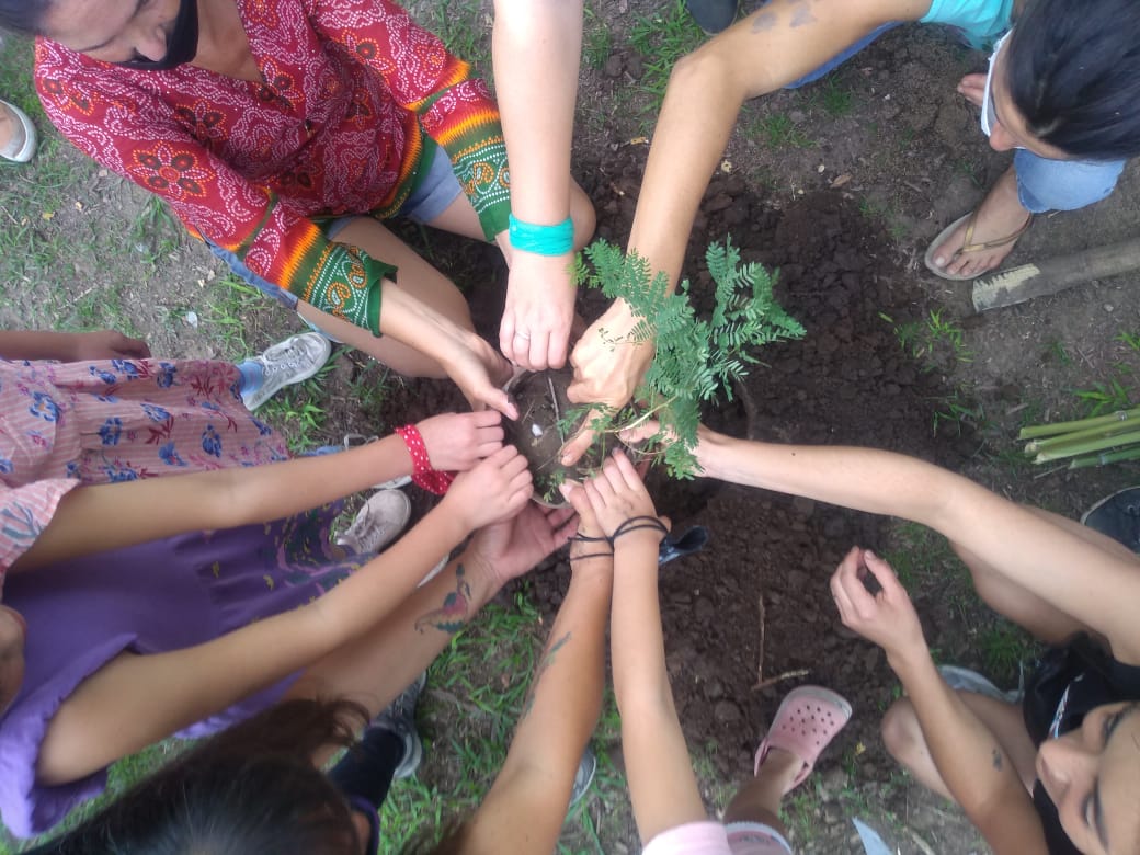 personas plantando un arbol